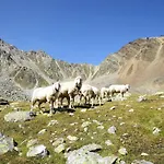 Wildmoos-1 By Interhome * Solden