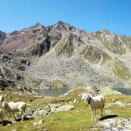 Apartment Wildmoos-1 By Interhome *