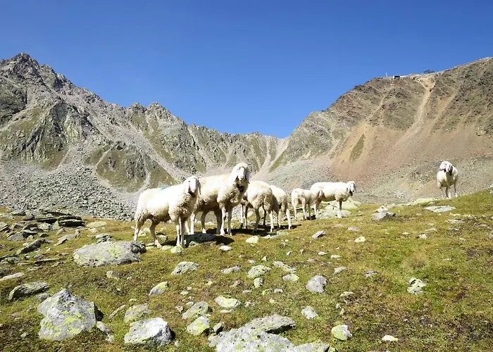 Wildmoos-1 By Interhome * Sölden